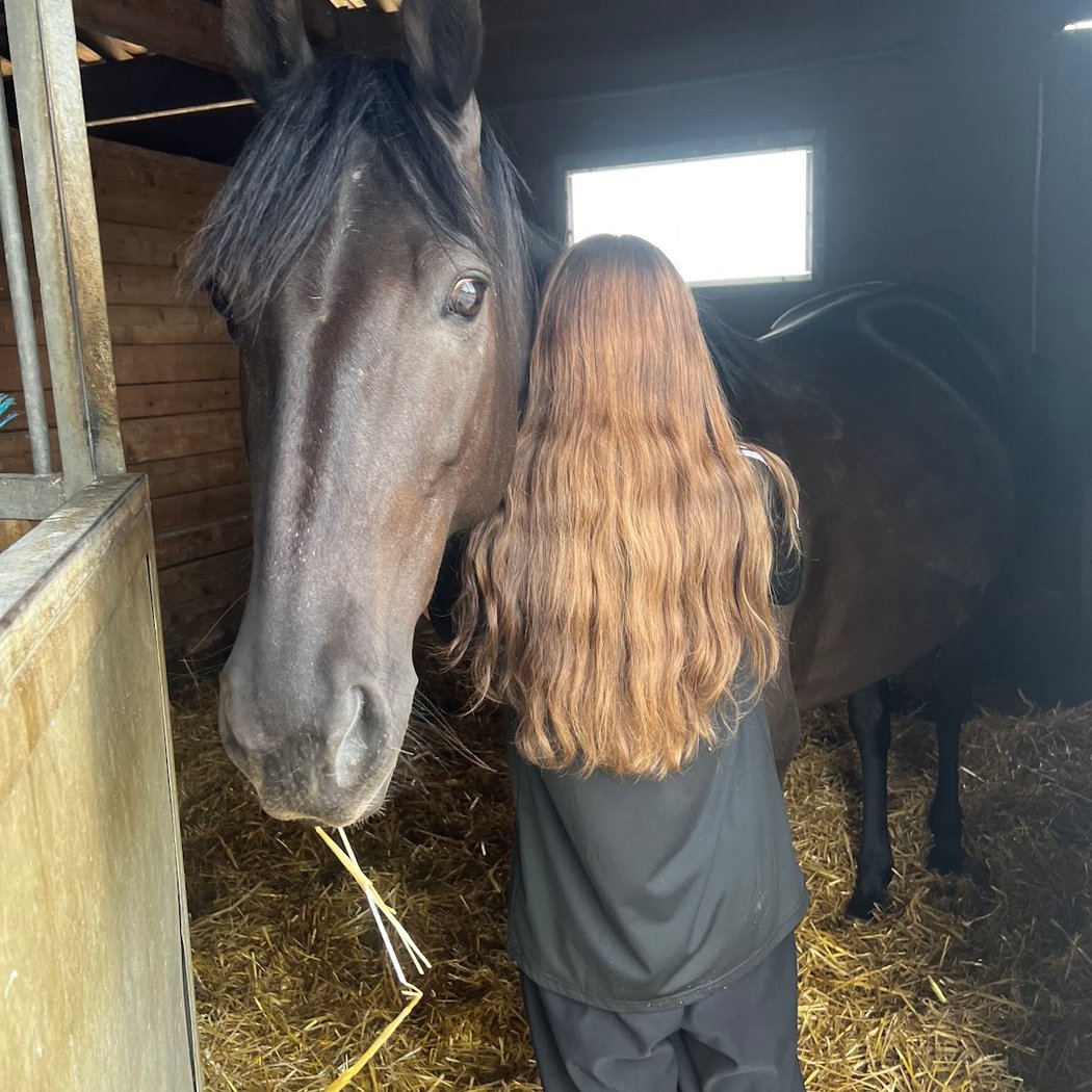 Pony Club Des Quatre Chemins 2